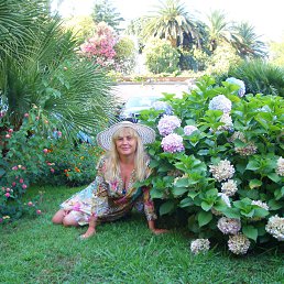 ���� ������, ������, 62 ���� - ��������� 13 ���� 2016