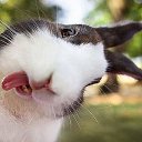 ���� ���������, ������������, 51 ��� - ��������� 10 ���� 2016