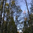 ���� �������, �������, 50 ��� - ��������� 30 ������ 2016 � ������ ���� ����������