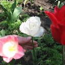 ���� ��������, ��������������, 50 ��� - ��������� 29 ������ 2016 � ������ ������ ��������