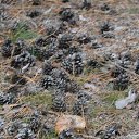 ���� ������, ���������, 42 ���� - ��������� 24 ����� 2016 � ������ ��������� ���