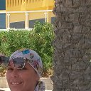 ���� �������, ��������, 43 ���� - ��������� 20 ��� 2016 � ������ ���� ����������