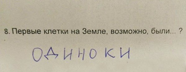 Когда учишься в младших классах, но уже познал жизнь - 5