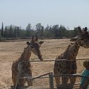 ���� I�na, ������ - ��������� 26 ���� 2016 � ������ ������