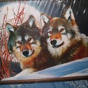 ���� �������, ������� - ��������� 19 ������� 2016 � ������ ���� ����������