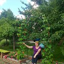 ������ ���������. �� ������� ���� ����������