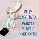 ���� �������, �����, 43 ���� - ��������� 22 ��� 2016 � ������ ������ ��������