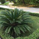 ���� �����, ������ - ��������� 27 ������� 2016