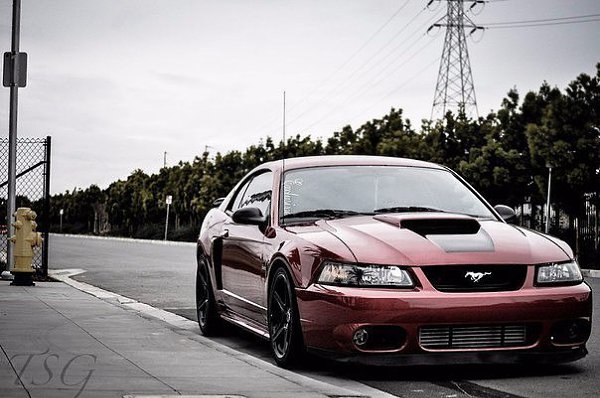 '04 Ford Mustang GT