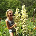 ���� ���� �����, ���������, 56 ��� - ��������� 13 ���� 2016 � ������ ���� ����������