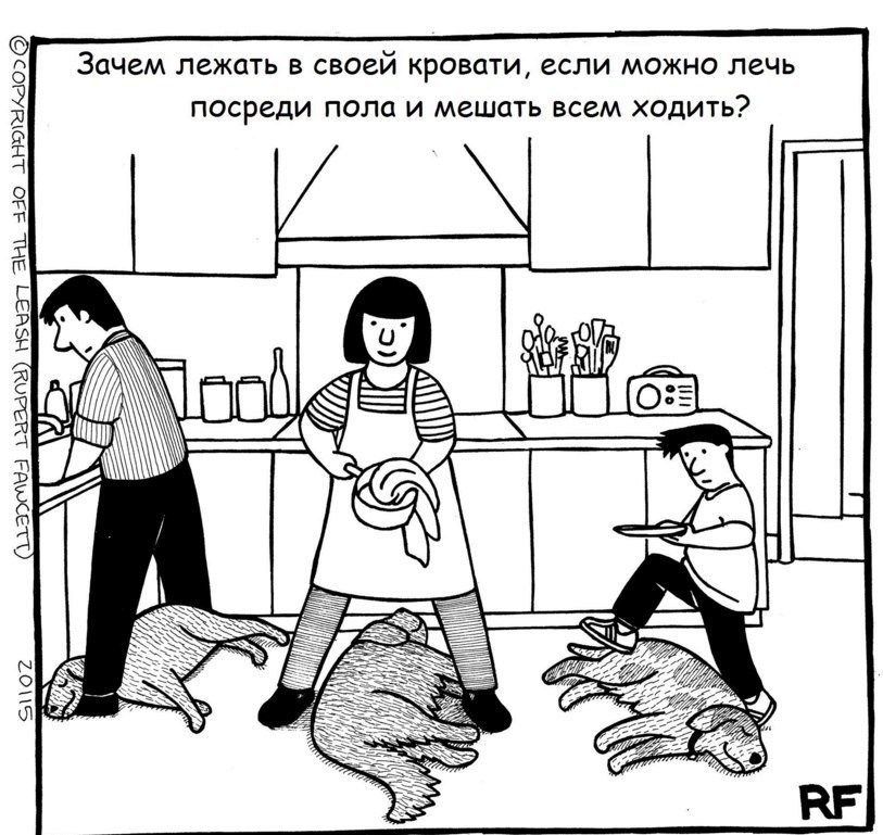 Действительно=)