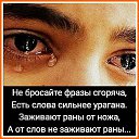 ���� ������, �����-��������� - ��������� 23 ����� 2016 � ������ ������ ��������