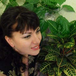 ����������, �������, 51 ���