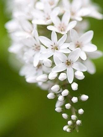 ����� ���� ������������, ����� ��� ������ ���� ������. � ���� ������ � ��� ������ ��������, ��� ��� ... - 2