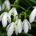 ���� ��������� ���������, ��������� - ��������� 16 ����� 2016 � ������ ���� ����������