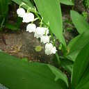  -   !,  -  15  2016      15.05.2016