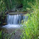 ���� Vitalii, �����������, 45 ��� - ��������� 20 ���� 2016 � ������ ���� ����������