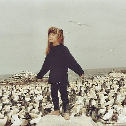 �����, �����������, 61 ���