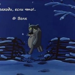 ���� ����, ������, 38 ��� - ��������� 4 ���� 2016