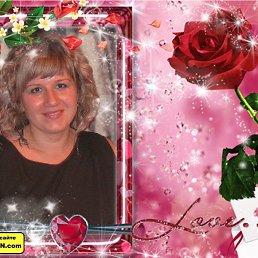 ���� �������, �������, 42 ���� - ��������� 4 �������� 2016