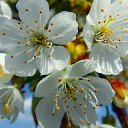  Penelopaxxx,  -  19  2016    