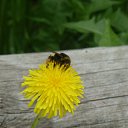 ������ �� ������� ��������,�������, �������� ��� ������...�