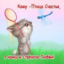 ���� �������, ���������, 46 ��� - ��������� 8 ��� 2016 � ������ ������ ��������