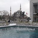 ���� Sereja, �������, 37 ��� - ��������� 9 �������� 2016 � ������ ���� ����������