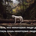 ���� ���, ����, 45 ��� - ��������� 29 ����� 2016