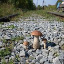 ���� �����, ������������, 59 ��� - ��������� 16 ���� 2016 � ������ ������ �����.�