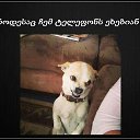 ���� Mamuka, �������, 47 ��� - ��������� 10 ��� 2016 � ������ ���� ����������