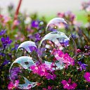 ���� ��������� ���������, ��������� - ��������� 16 ����� 2016 � ������ ���� ����������