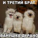 ���� ����, ������� - ��������� 11 ������ 2016 � ������ ��������