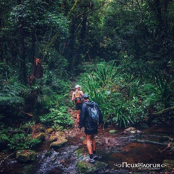 ���-5 ����������, ������� ������� ���������� ���� �����������.� ��� ���-�� ����� � ���, ��� �������� ...