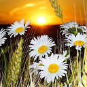 ���� Aleta, ������, 51 ��� - ��������� 21 ���� 2016 � ������ ���� ����������