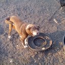 ���� �����, ������, 37 ��� - ��������� 6 ������� 2016 � ������ ������ ��������