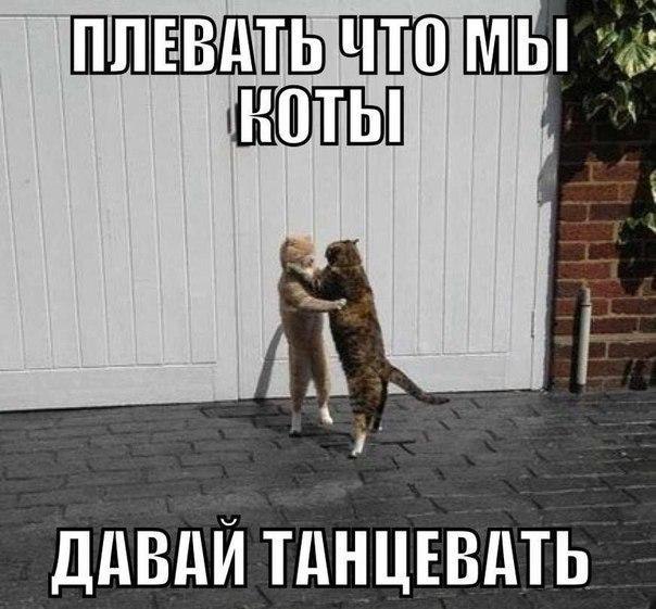 �� ��� ��� �����! - 1 ��� 2016 � 10:19