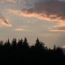 ���� �������, �����-���������, 44 ���� - ��������� 28 ���� 2016 � ������ ���� ����������