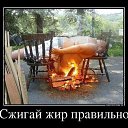 ���� �����, ��������, 53 ���� - ��������� 25 ���� 2016 � ������ ���������߻