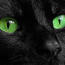  Greco1905,  -  8  2016    