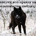 ���� ���������, ����������, 64 ���� - ��������� 15 ��� 2016 � ������ ������ ��������