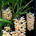 ���� Eric, ����, 61 ��� - ��������� 18 ������ 2016 � ������ ������ ��������