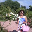 ���� ������, �����������, 46 ��� - ��������� 16 ������� 2016 � ������ ���� ����������