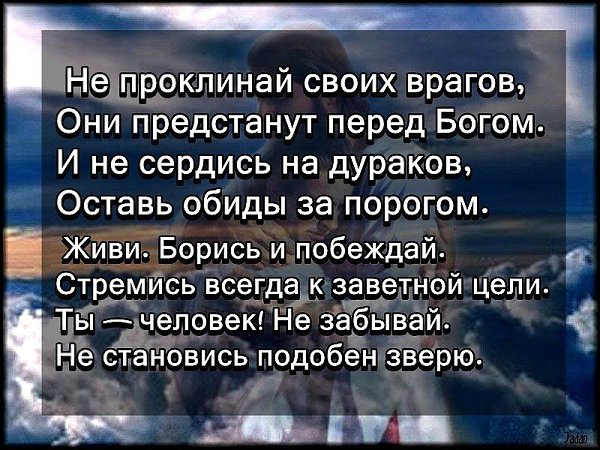 Не плачь. Не бойся. Не проси. Не унижайся перед каждым. Свой крест из гордостью неси, не повторяй ...