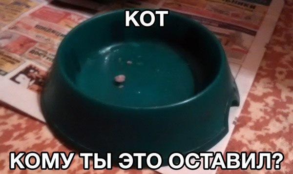 ��� ��� ������