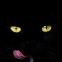 ���� ����, ������ - ��������� 2 �������� 2016