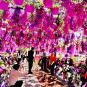  ,  -  15  2016    13 һ