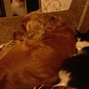 ���� �����, ������������, 56 ��� - ��������� 18 ���� 2016 � ������ ������ ��������