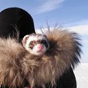 ���� ������, �����������, 55 ��� - ��������� 11 ���� 2016