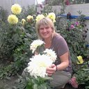 ���� �������, ������� - ��������� 3 ������ 2016 � ������ ���� ����������